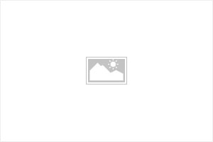 15 Series Rear Camera R&W Adaptor Operation Guide